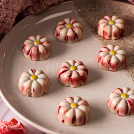Chocolate Mould